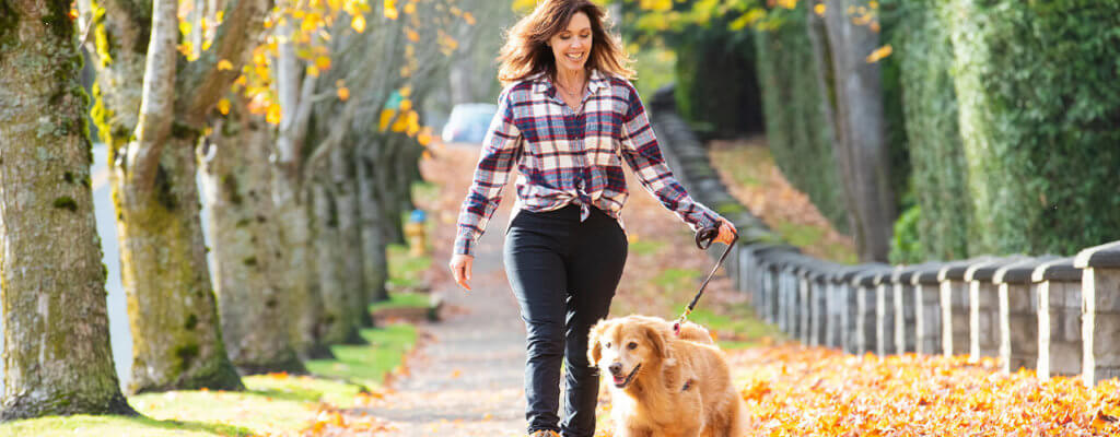 Physical Activity Brevard, NC